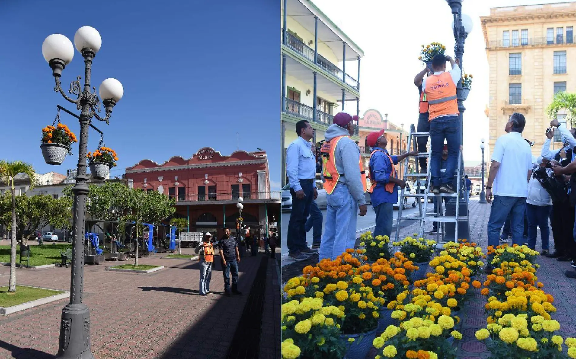 Para las festividades de Día de Muertos, la calle Aduana se convertirá en la calle de las flores Paulo Monsivais